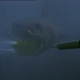 Via Shark Attack 3: Megalodon